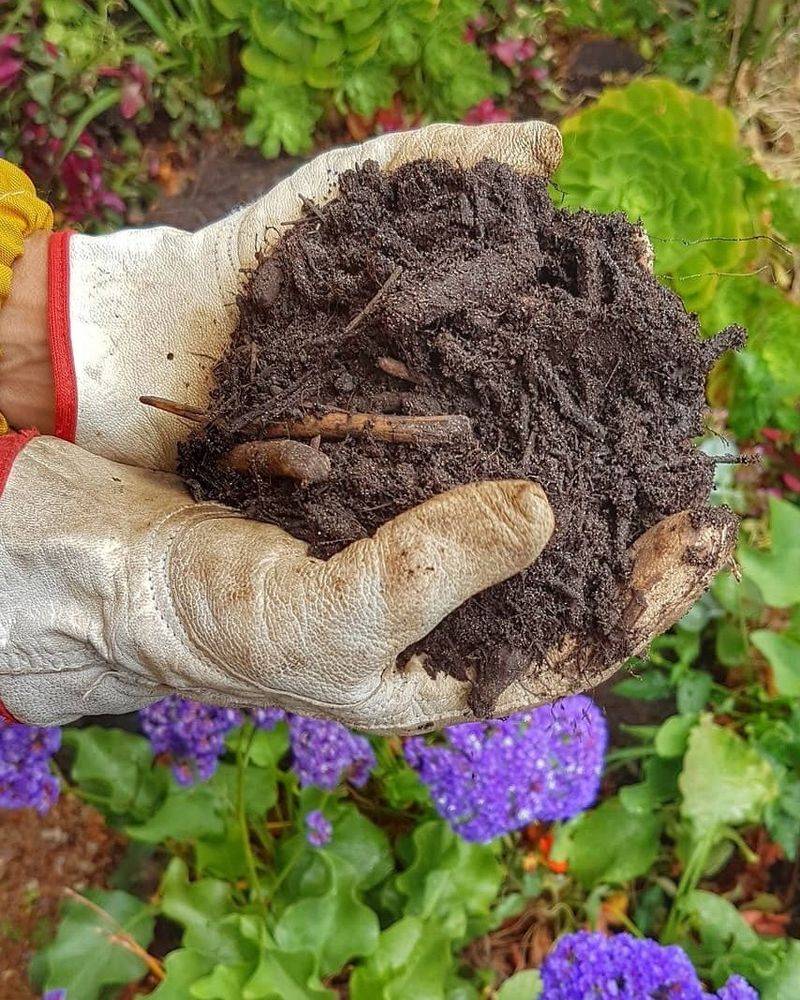 Maintain Healthy Soil