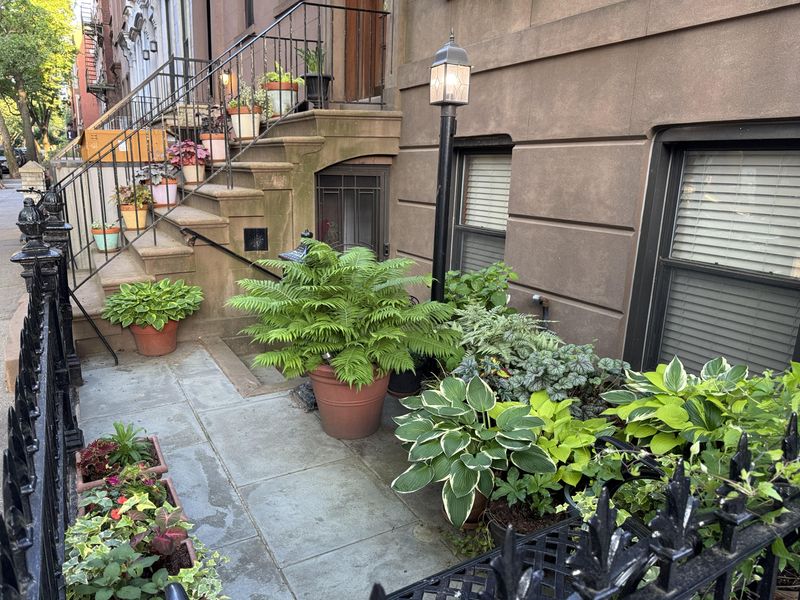 Decorative Container Garden
