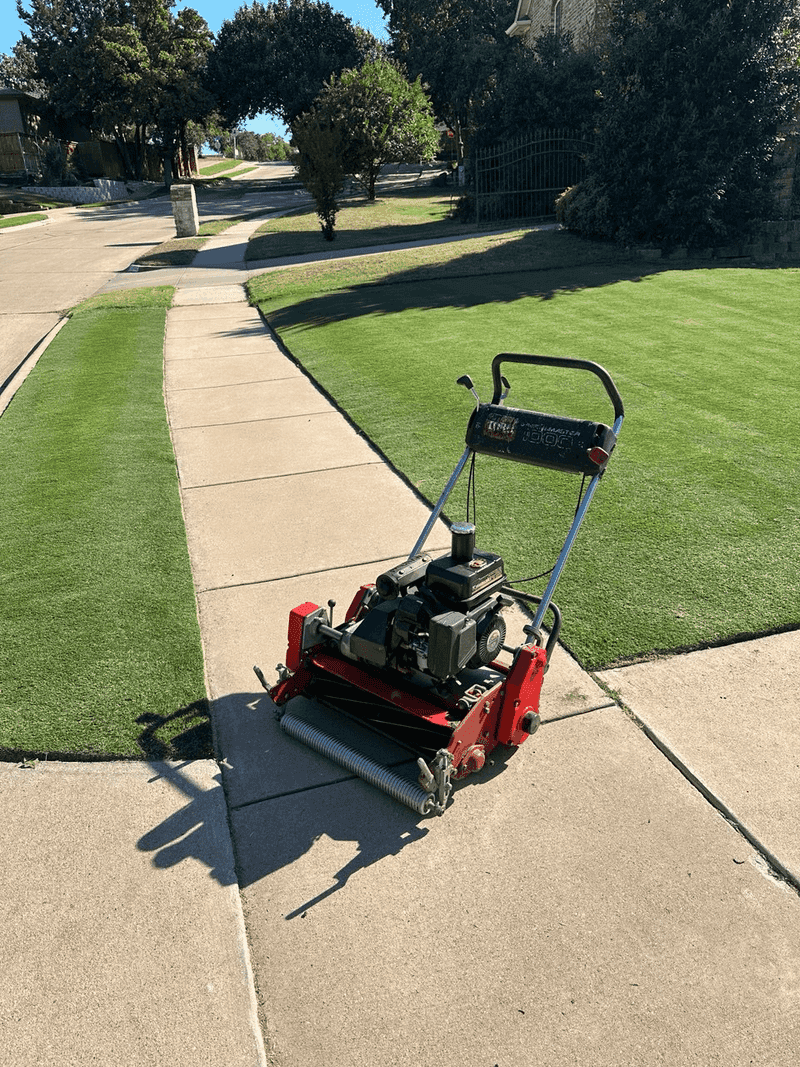 Grass Type Compatibility