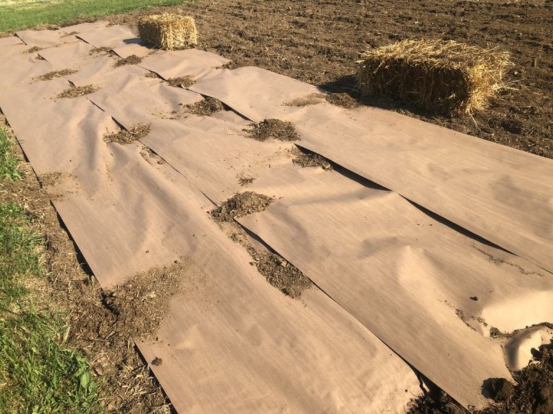 Newspaper Weed Barrier