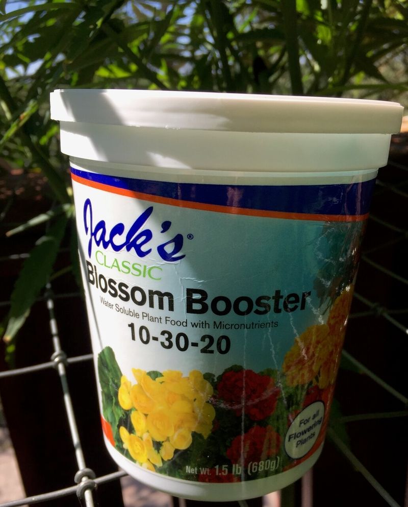 Jack's Classic Blossom Booster (10-30-20)