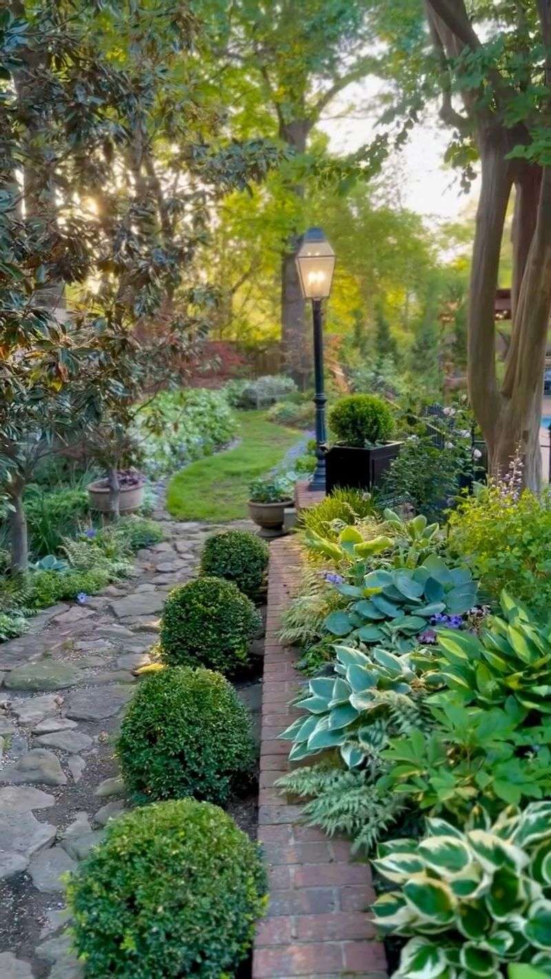 Dead Corner Revival With Hostas