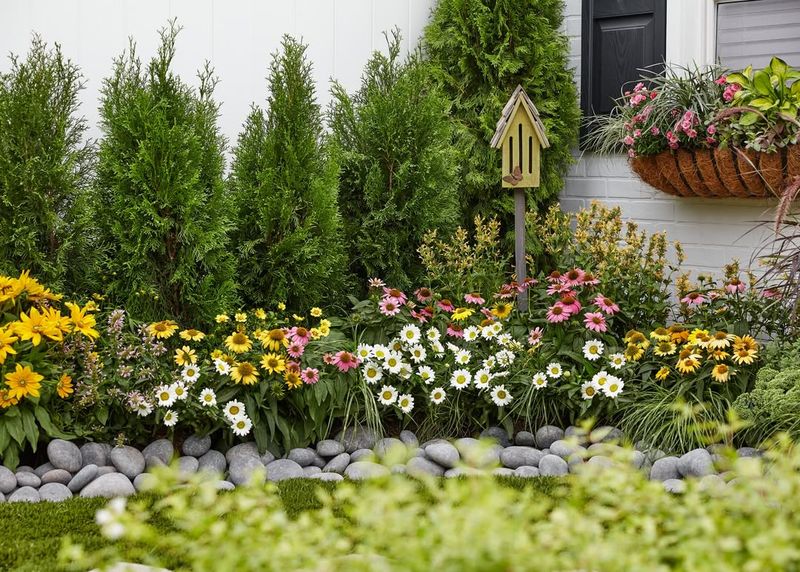 Kid-Friendly Plants That Spark Wonder