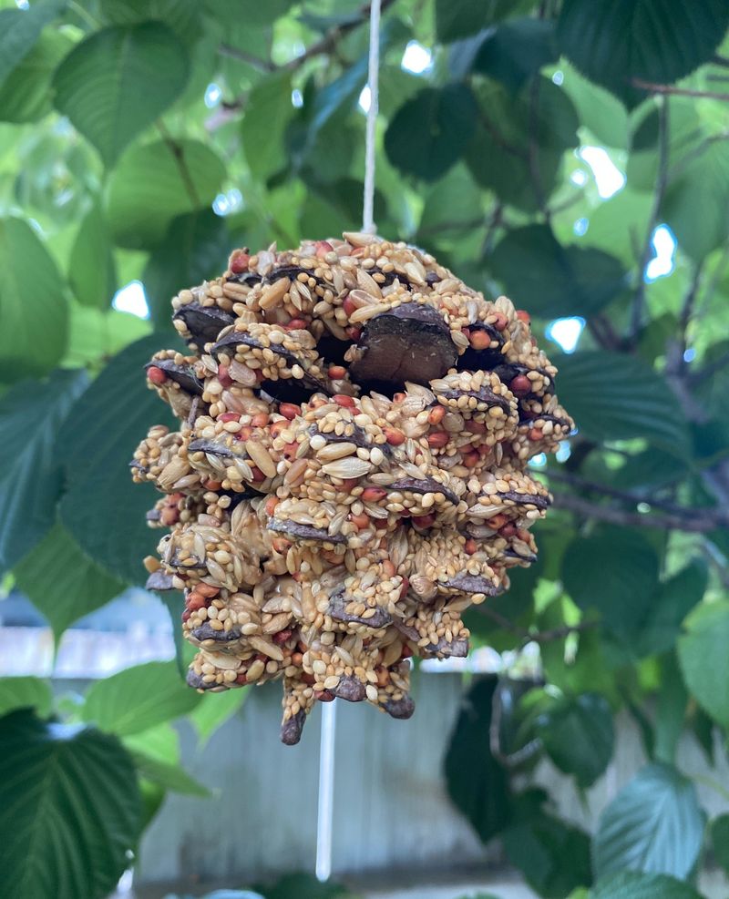 Bird Feeder Crafting