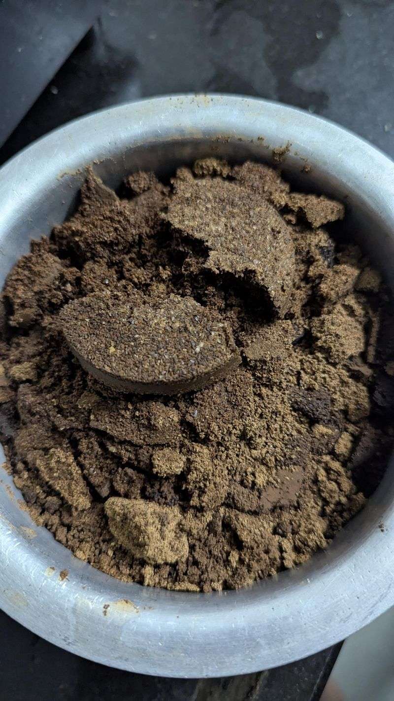 Coffee Grounds