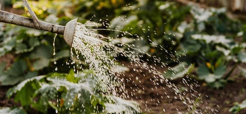 Water Strategically