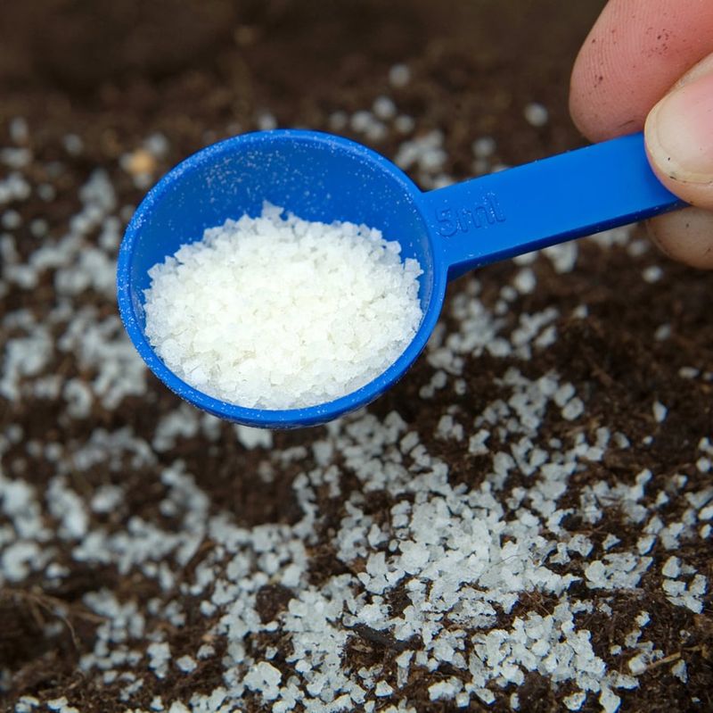 Water-Retention Crystals Extend Hydration