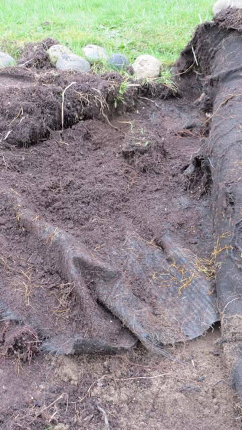 Install Landscape Fabric