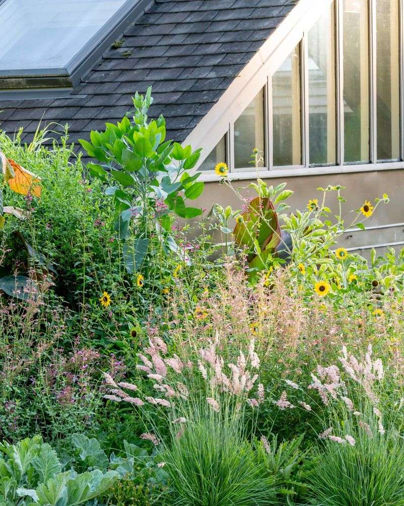 Borrow or Share Garden Space