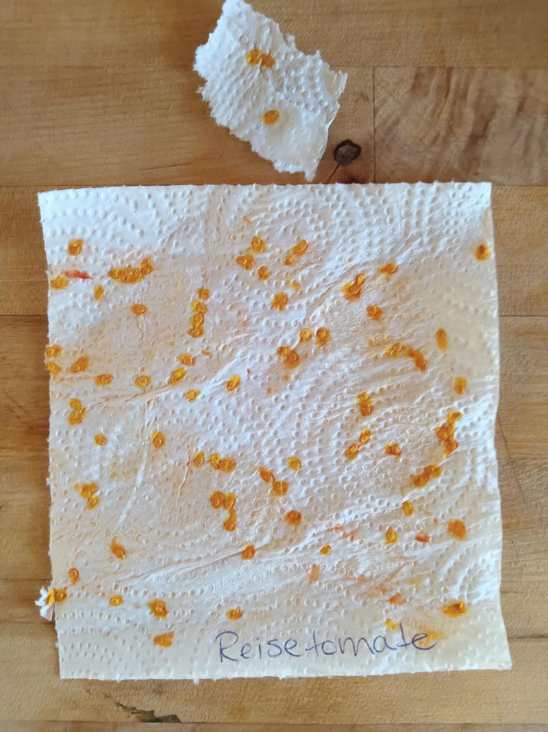 Save seeds properly