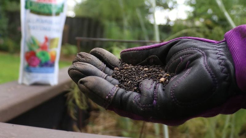 Weed And Feed Combinations