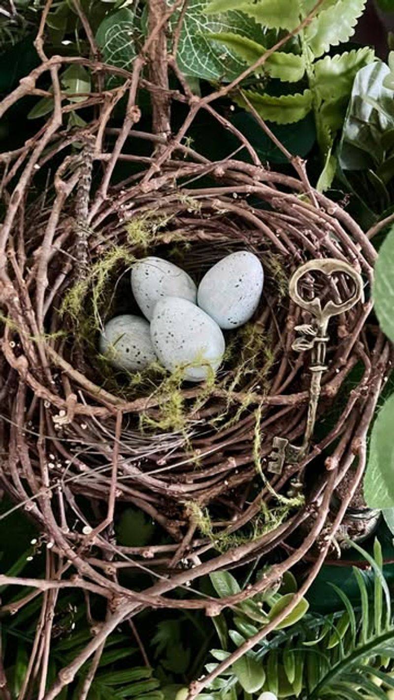 Bird Nesting Materials