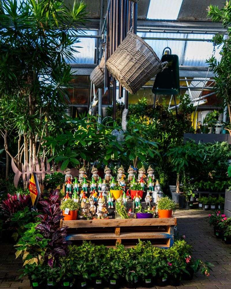 Too Many Garden Gnomes