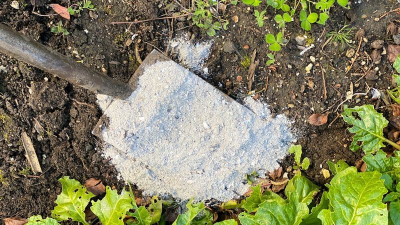 Wood Ash (Excessive)