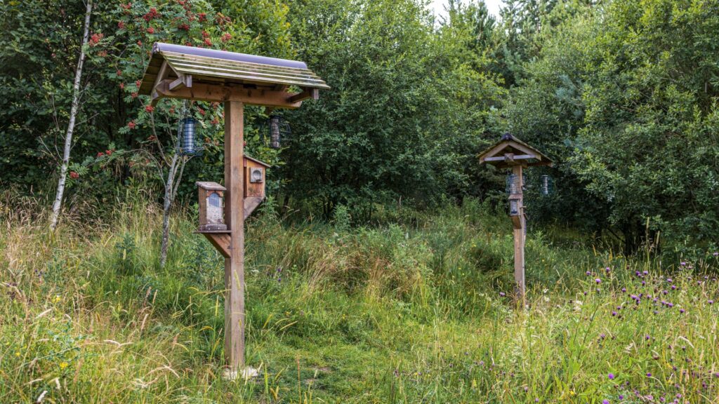 Feeding Station Roof