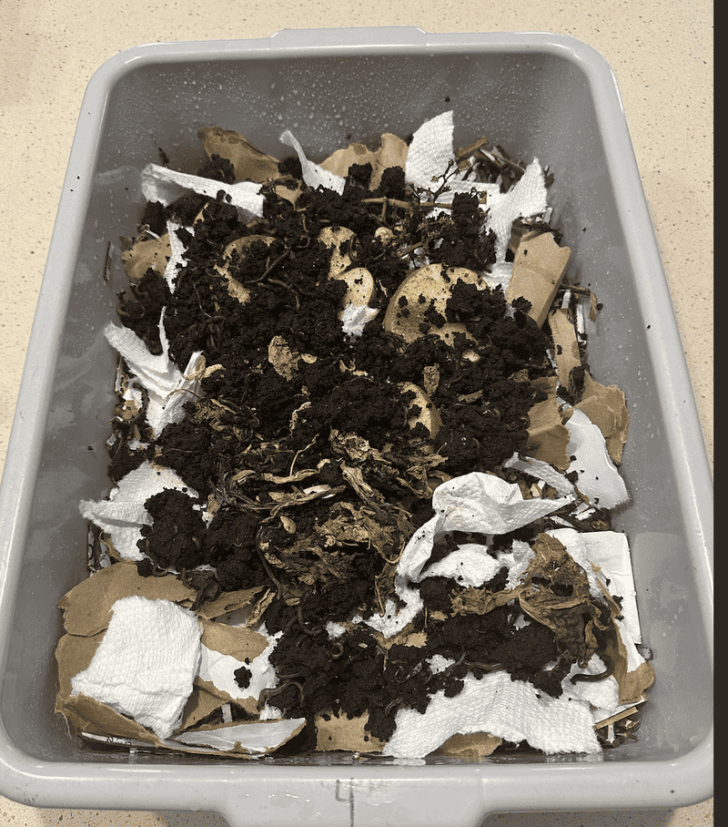 Makes Excellent Worm Bin Food