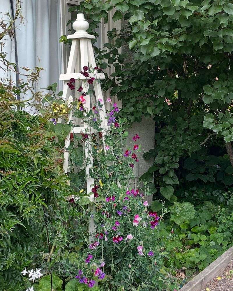 Obelisks
