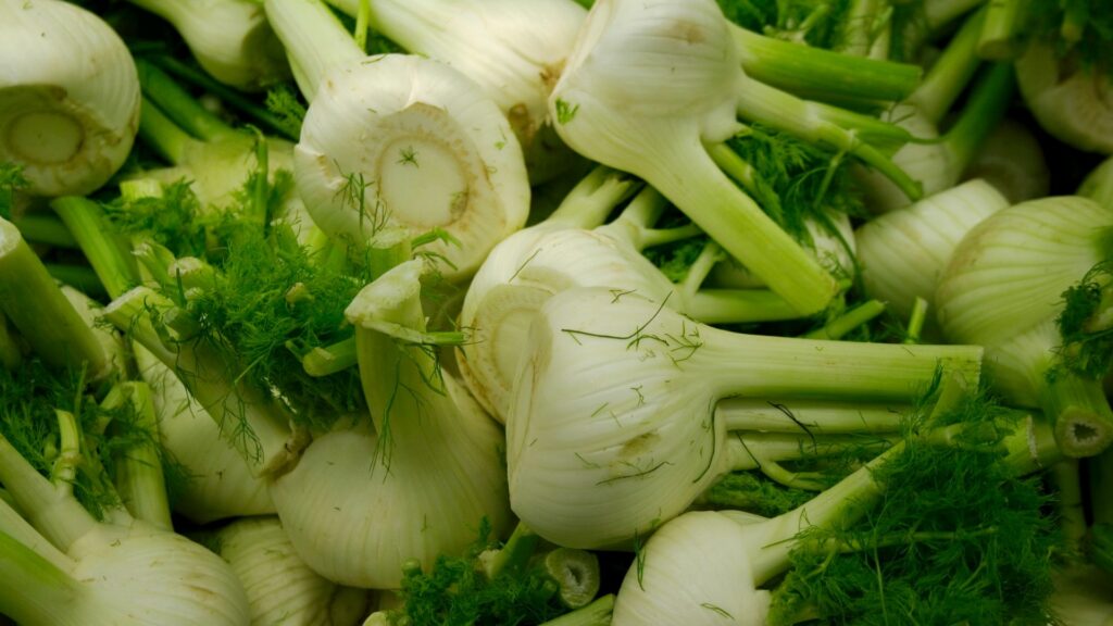 Fennel