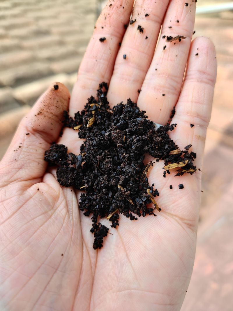Coffee Grounds