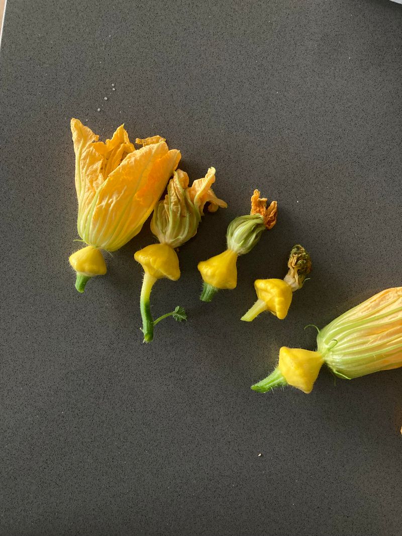 Recognize Pollination Success
