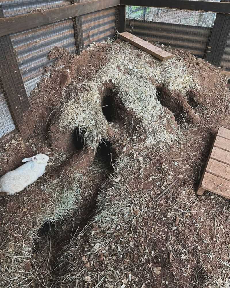 Soil Aerators