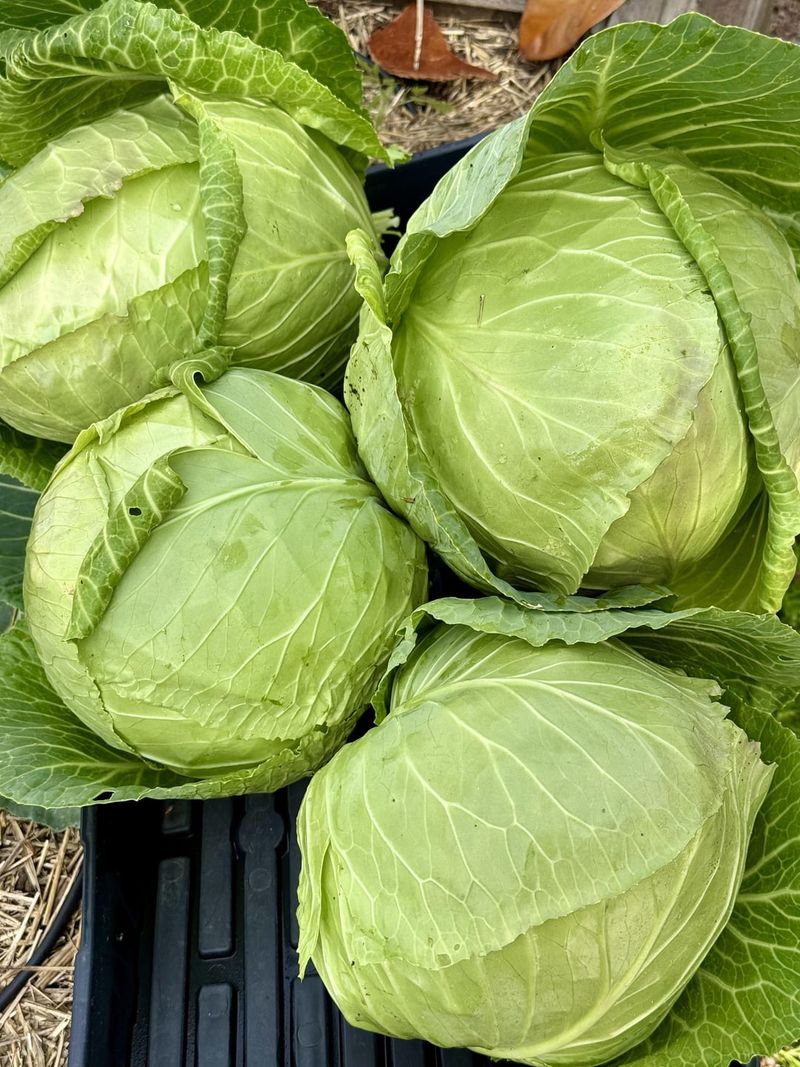 Harvesting Best Practices