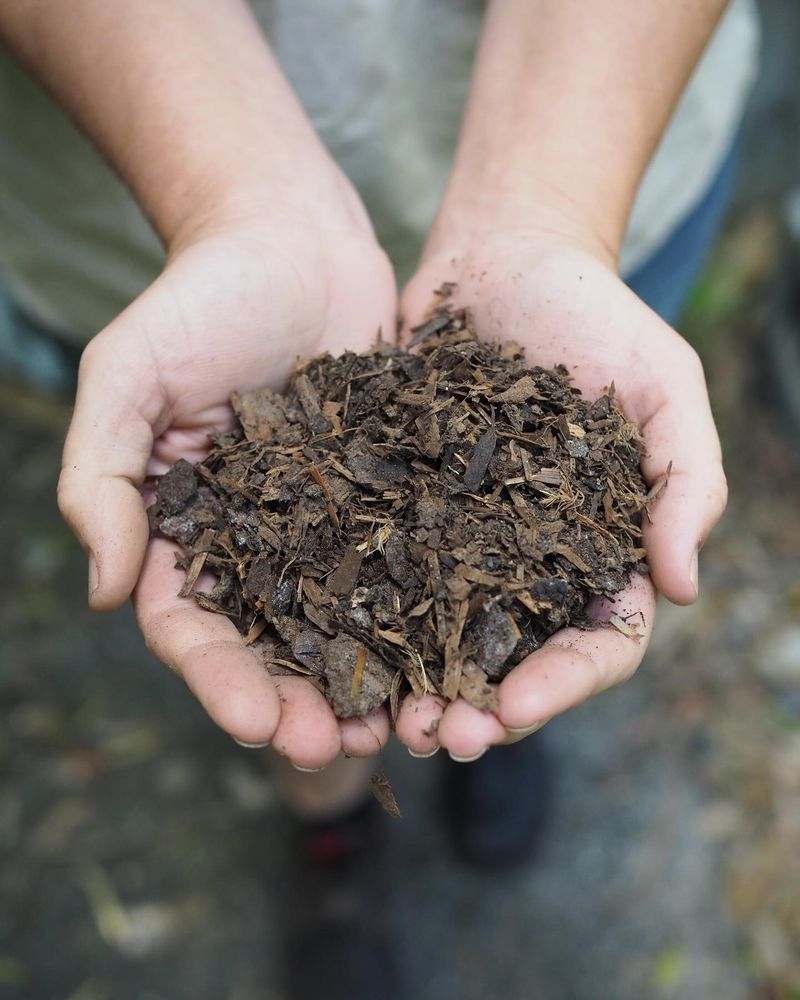 Mulch Matters for Moisture Retention
