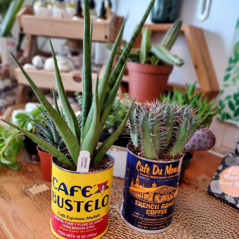 Vintage Tin Planters