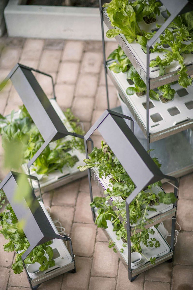 Countertop Hydroponic Garden