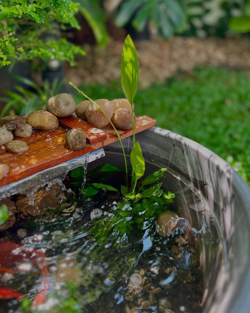 Miniature Water Feature