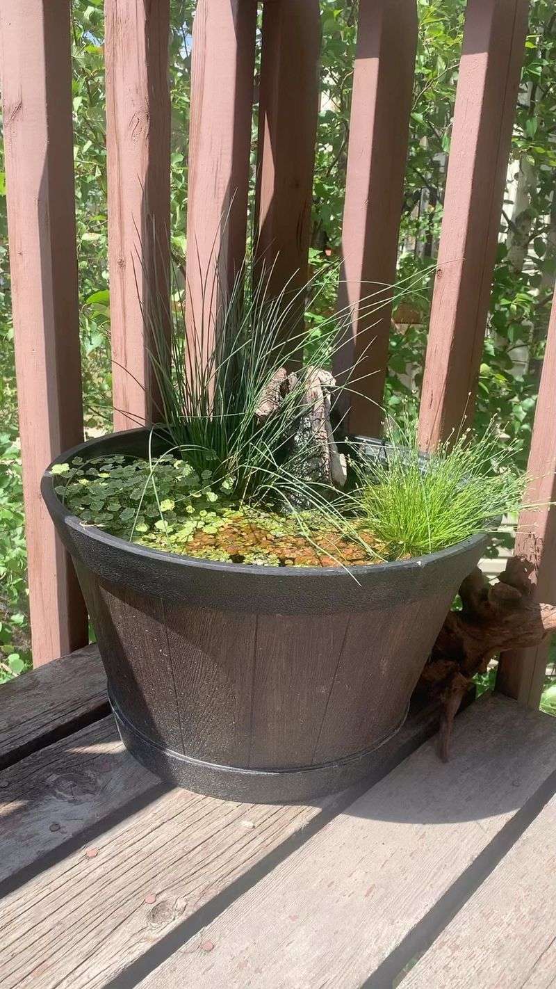 Balcony Pond