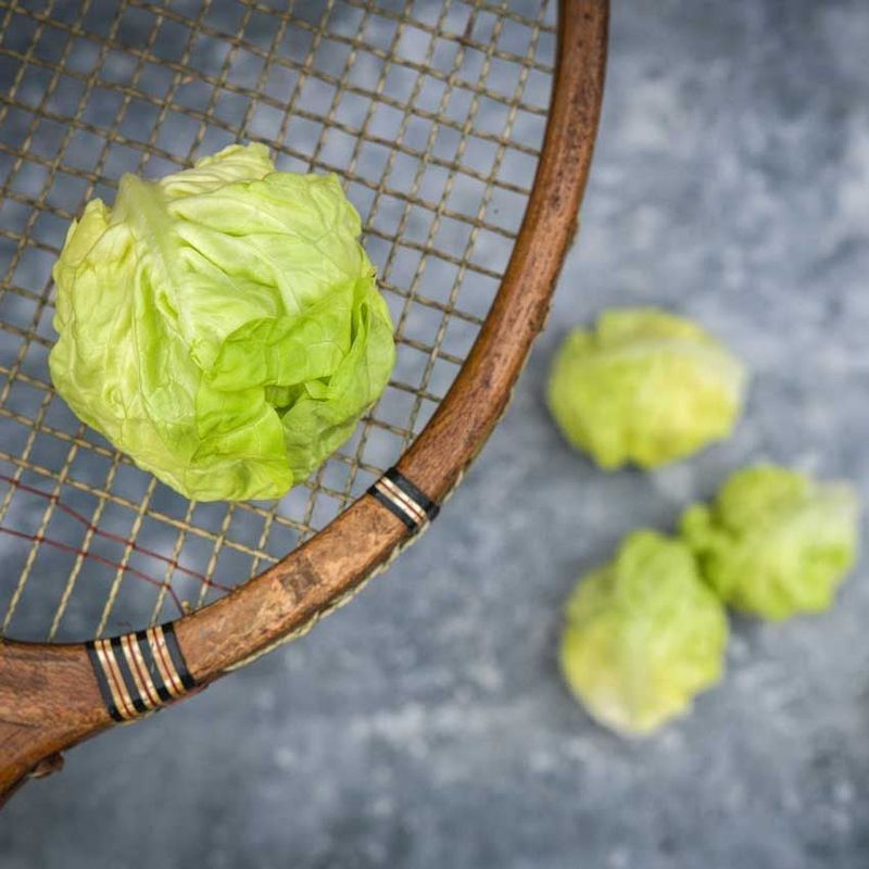 Tennis Ball Lettuce