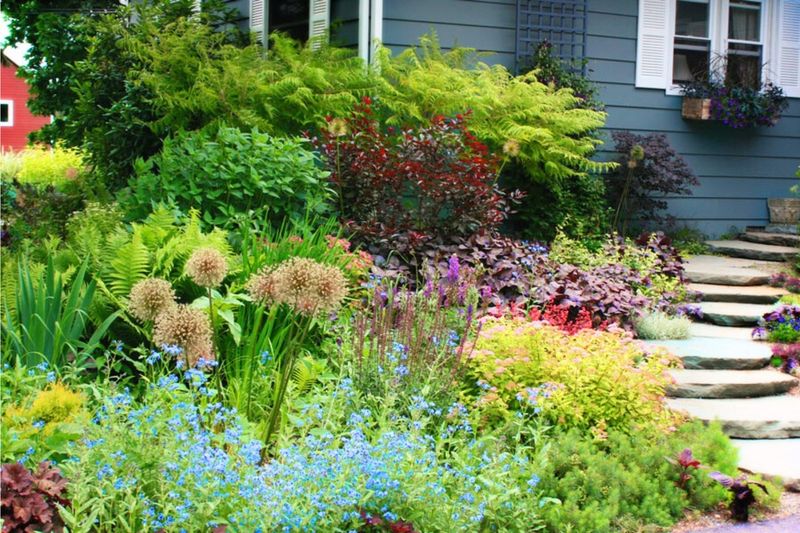 Embrace Native Plants