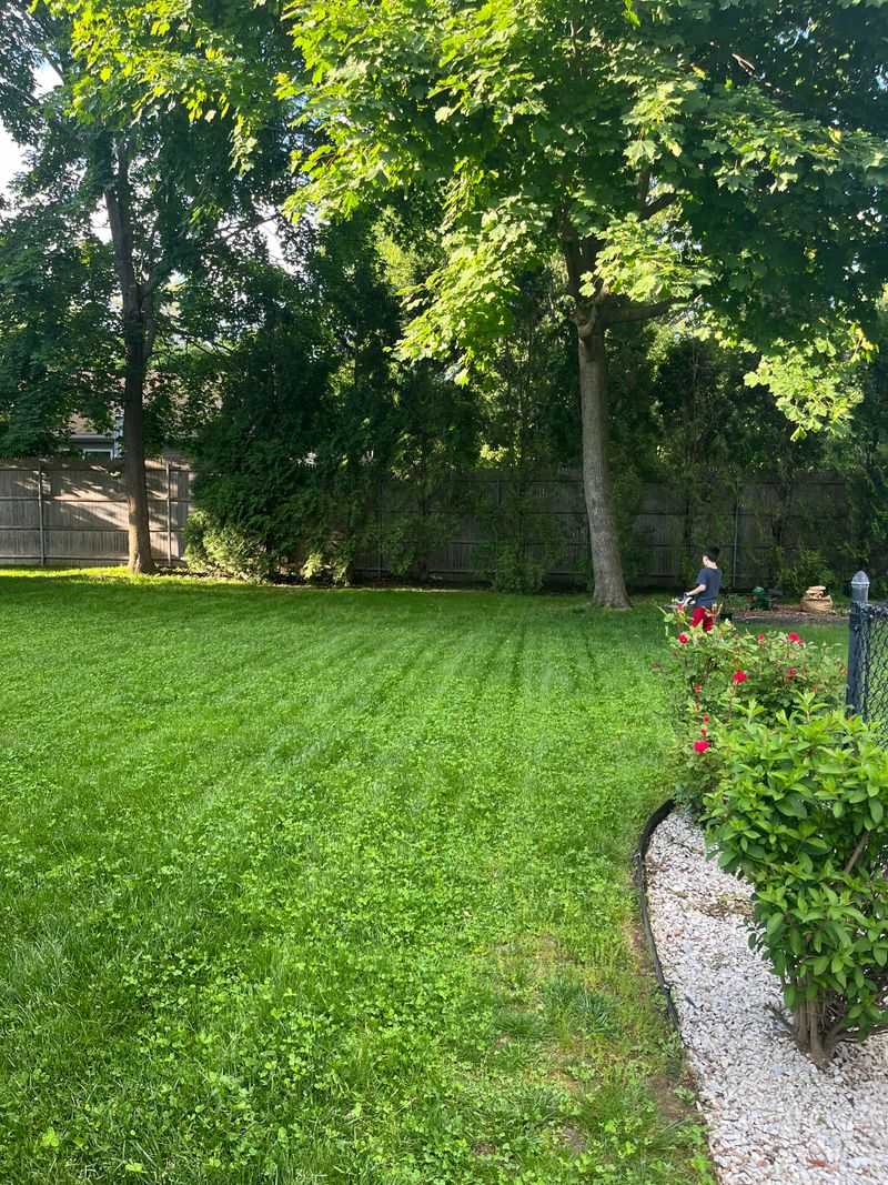 Poor Lawn Care Practices