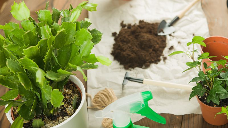 Using The Wrong Pot Outdoors