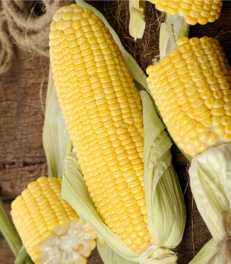 Using Chemically-Treated Seeds