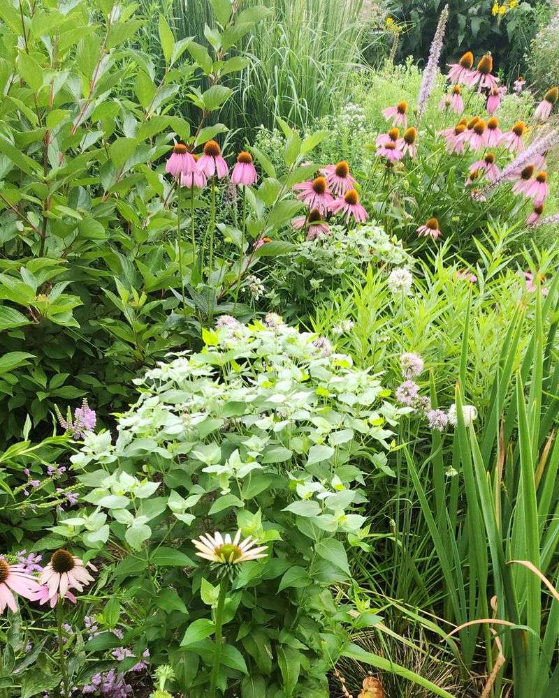 Prairie-Style Gardens