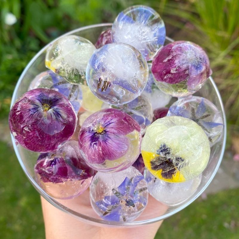 Botanical Ice Cubes