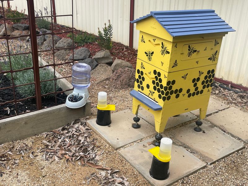 Honey Production Possibility