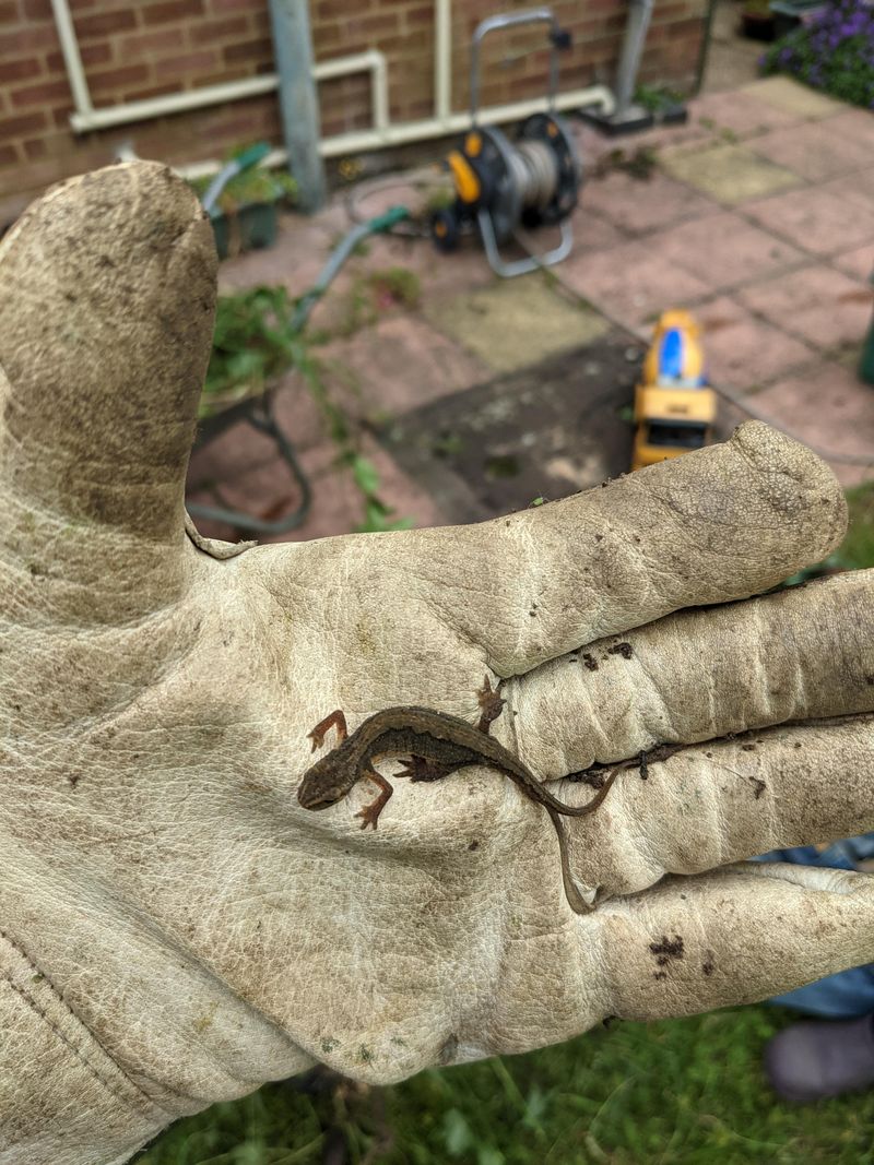 Biodiversity Boost