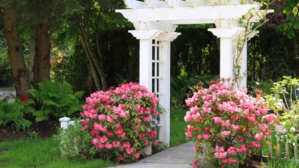 freestanding garden arbors