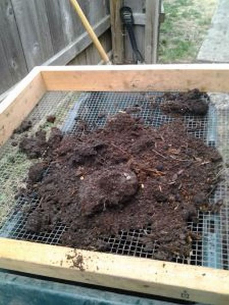 Finished Compost That's Still Chunky