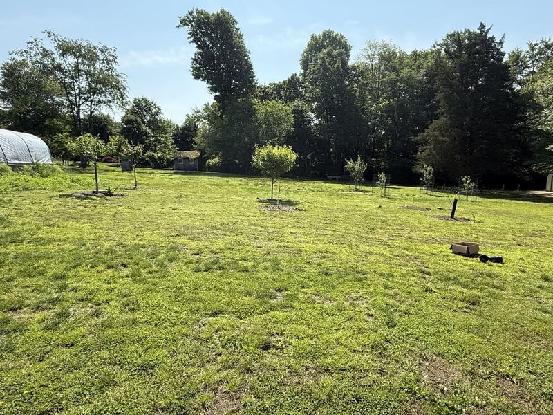 Soil Structure Improvement
