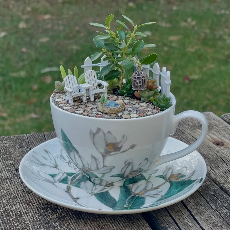 Teacup Fairy Gardens