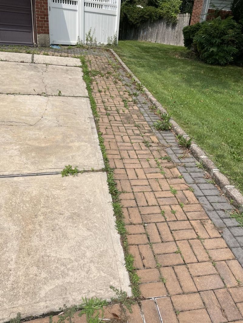 Sidewalk Crack Cleaner