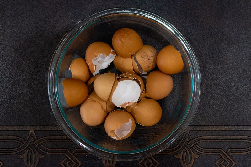 Bird-Friendly Calcium Source