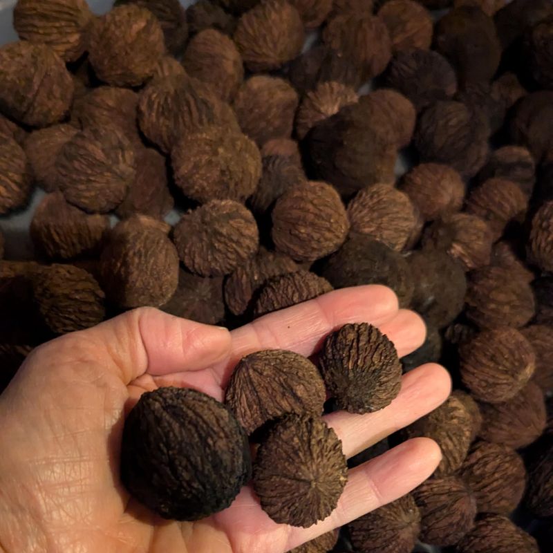 Black Walnuts