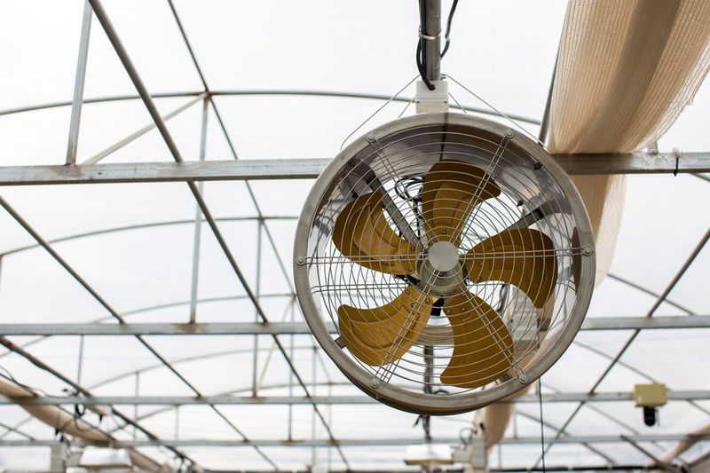 Improve Air Circulation