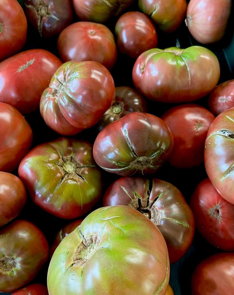 Cherokee Purple Tomatoes