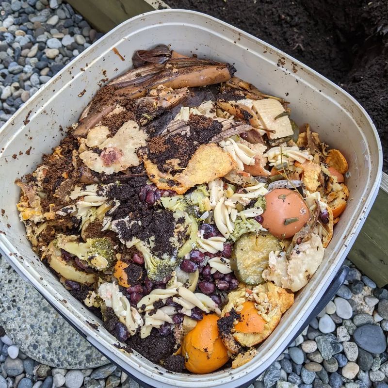 Bokashi Fermentation For Apartment Dwellers